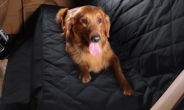 Bonve Pet Seat Cover: The Luxurious Cover for Your Car Seat