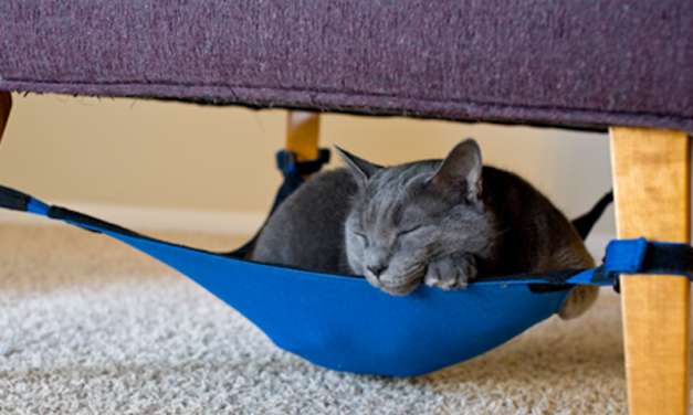 Cat Crib: The Space-Saving Hammock for Your Cat