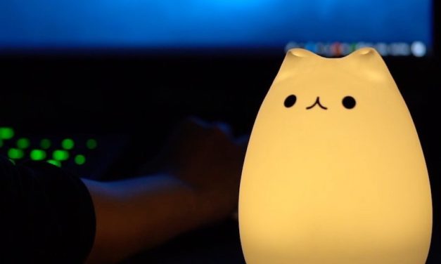 Squishy Cat Night Light: The Fun Desktop Companion