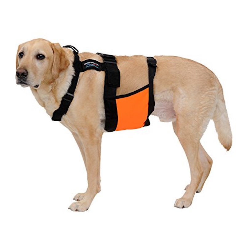 GlacierTek: The Cooling Vest for Humans and Dogs
