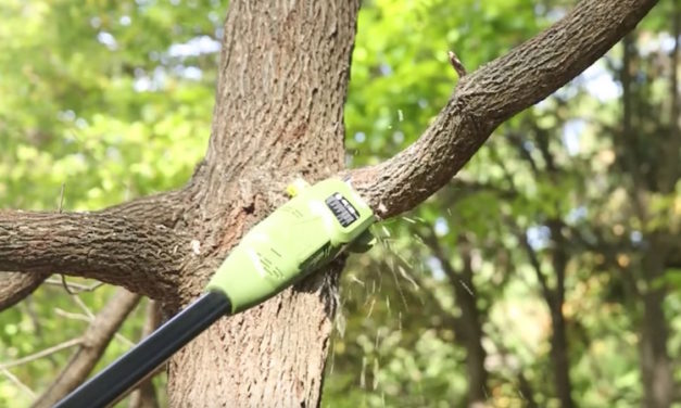 Sun Joe Automatic Chain Saw: Extend with Telescoping Electric Pole