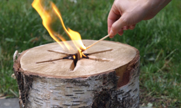 EcoForest Light n’ Go Bonfire: Light a Fire in No Time