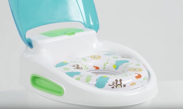 Summer Infant Step by Step Potty: Toilet Train Your Kids with Their Own Potty
